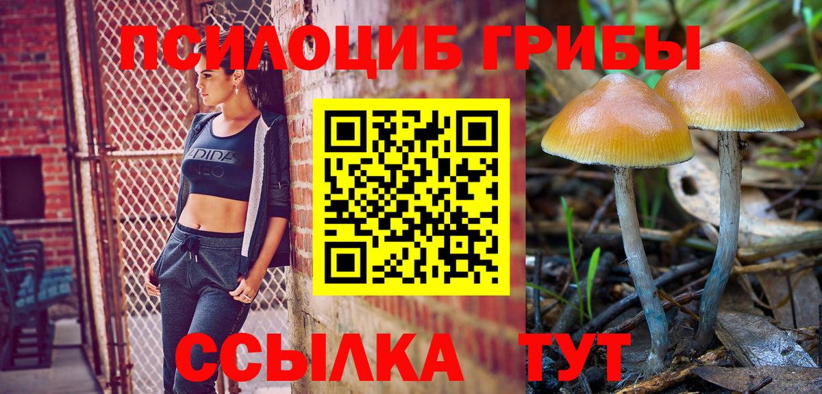 Мирный  Галлюциногенные грибы Cubensis  Псилоцибиновые грибы Cubensis  Вход с VPN 