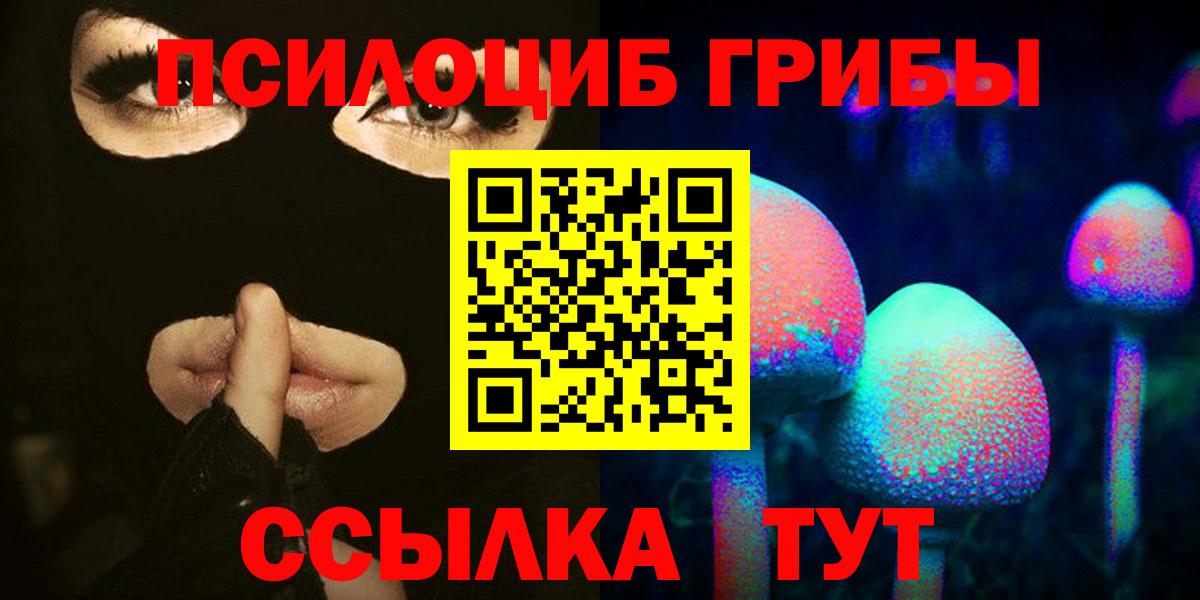 Псилоцибиновые грибы Psilocybe Мирный